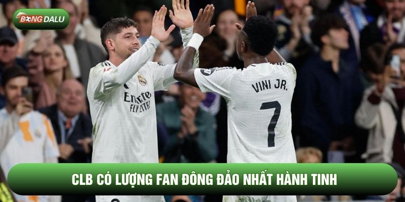 CLB có lượng fan đông đảo nhất hành tinh 