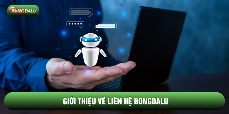 Giới thiệu về liên hệ Bongdalu Giới thiệu về liên hệ Bongdalu