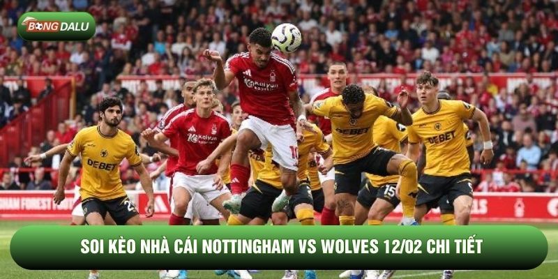 Soi kèo nhà cái Nottingham vs Wolves 12/02 chi tiết Soi kèo nhà cái Nottingham vs Wolves 12/02 chi tiết