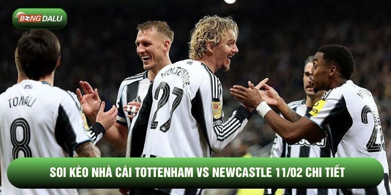 Soi kèo nhà cái Tottenham vs Newcastle 11/02 chi tiết Soi kèo nhà cái Tottenham vs Newcastle 11/02 chi tiết
