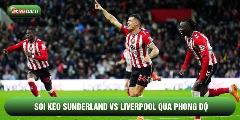 Soi kèo Sunderland vs Liverpool qua phong độ Soi kèo Sunderland vs Liverpool qua phong độ